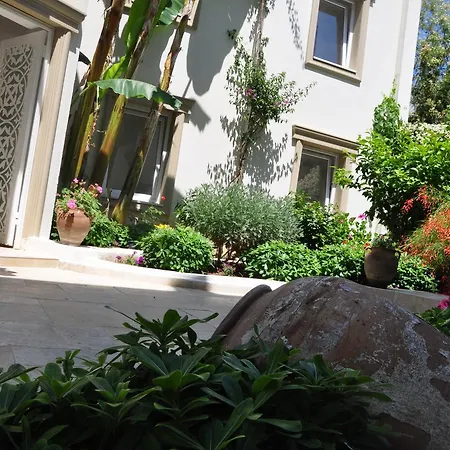 Olivias Group Hotell