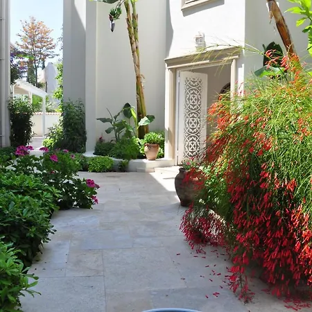 Hotel Olivias Group Gumbet