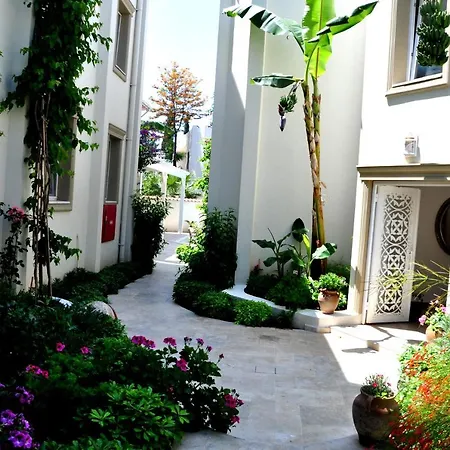 Hotell Olivias Group 3*