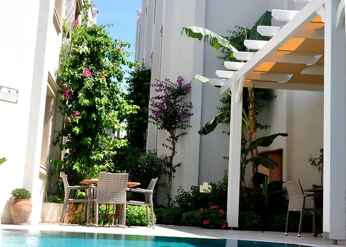 Olivias Group Hotel 3*