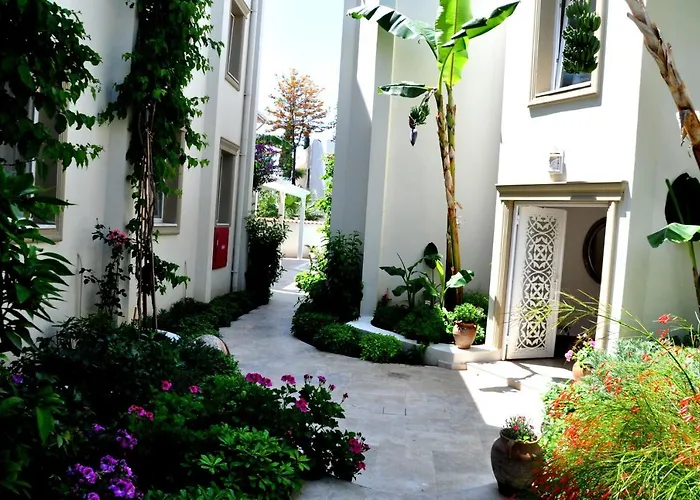 Hotel Olivias Group 3*