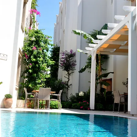 Olivias Group Hotel 3*