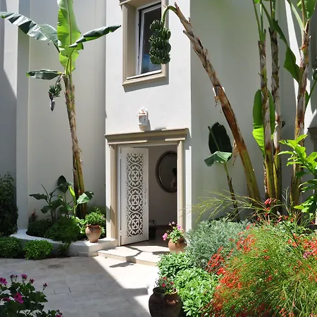 Olivias Group Hotell Gümbet