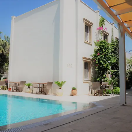 Hotell Olivias Group 3*