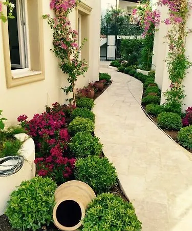 Olivias Group 3* Gümbet