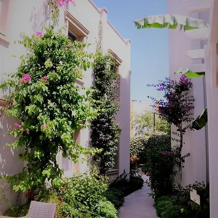 Hotel Olivias Group Gümbet