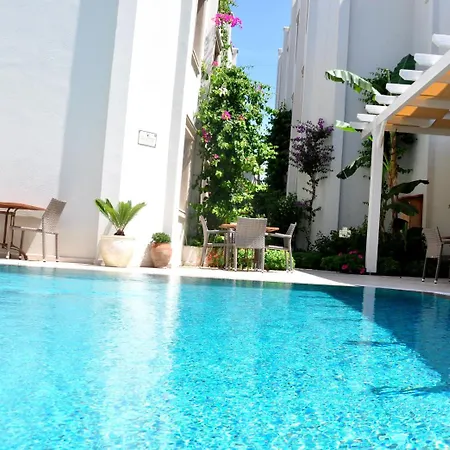 Olivias Group Hotel