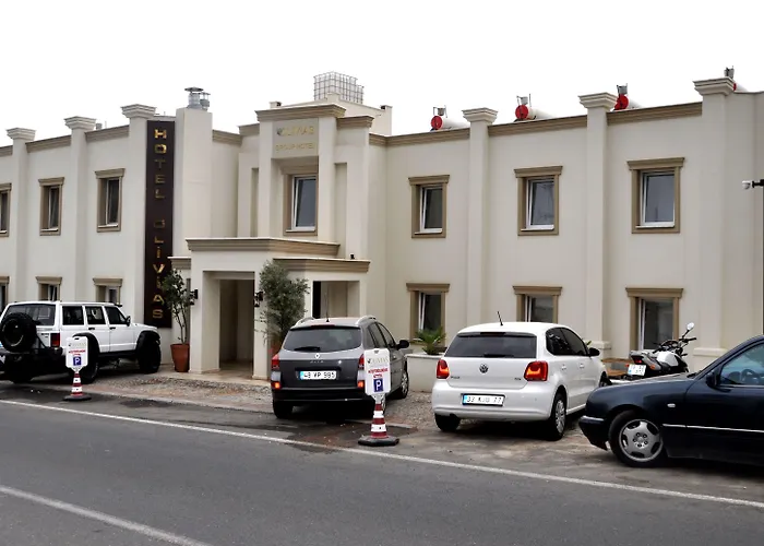 Olivias Group Hotel Gümbet