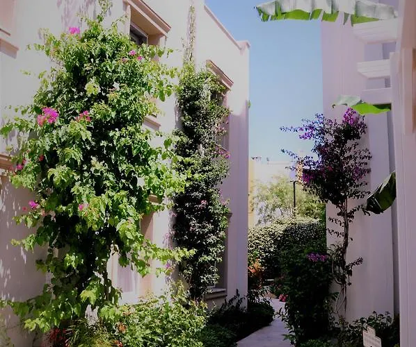 Hotel Olivias Group Gümbet